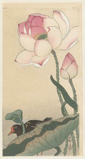 Affiche Blue art "KOSON – Lotus flower" - 35x70